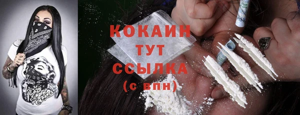 молекула духа Дмитровск