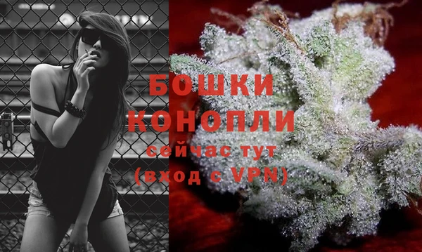 крисы Карталы