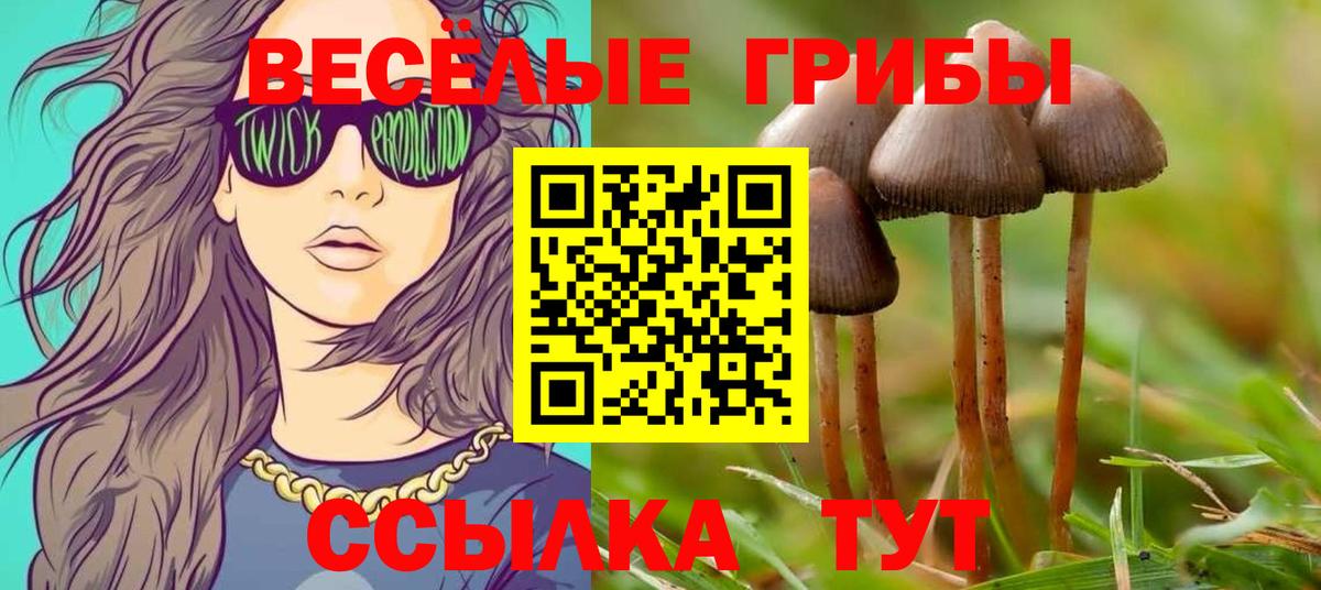 Нефтекамск  Галлюциногенные грибы Magic Shrooms  купить  сайты  Вход с VPN 